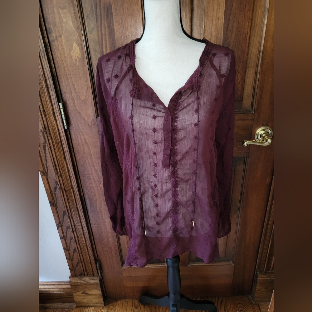 Gorgeous Sheer Blouse